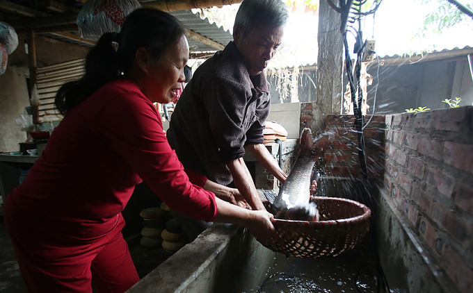 Làng Vũ Đại đỏ lửa kho cá phục vụ dịp Tết